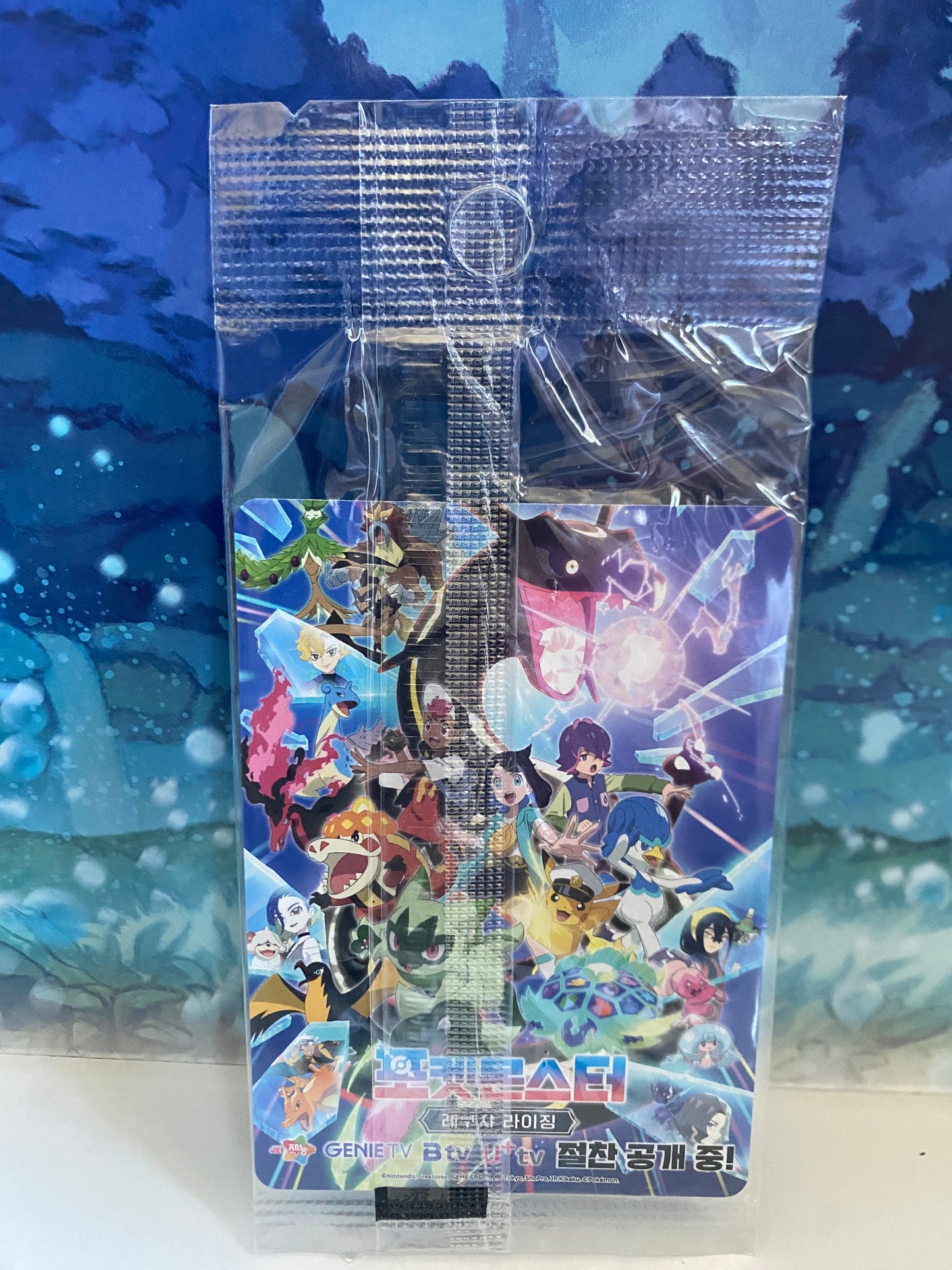 Ditto 173/SV-P Korea sealed close up achterkant