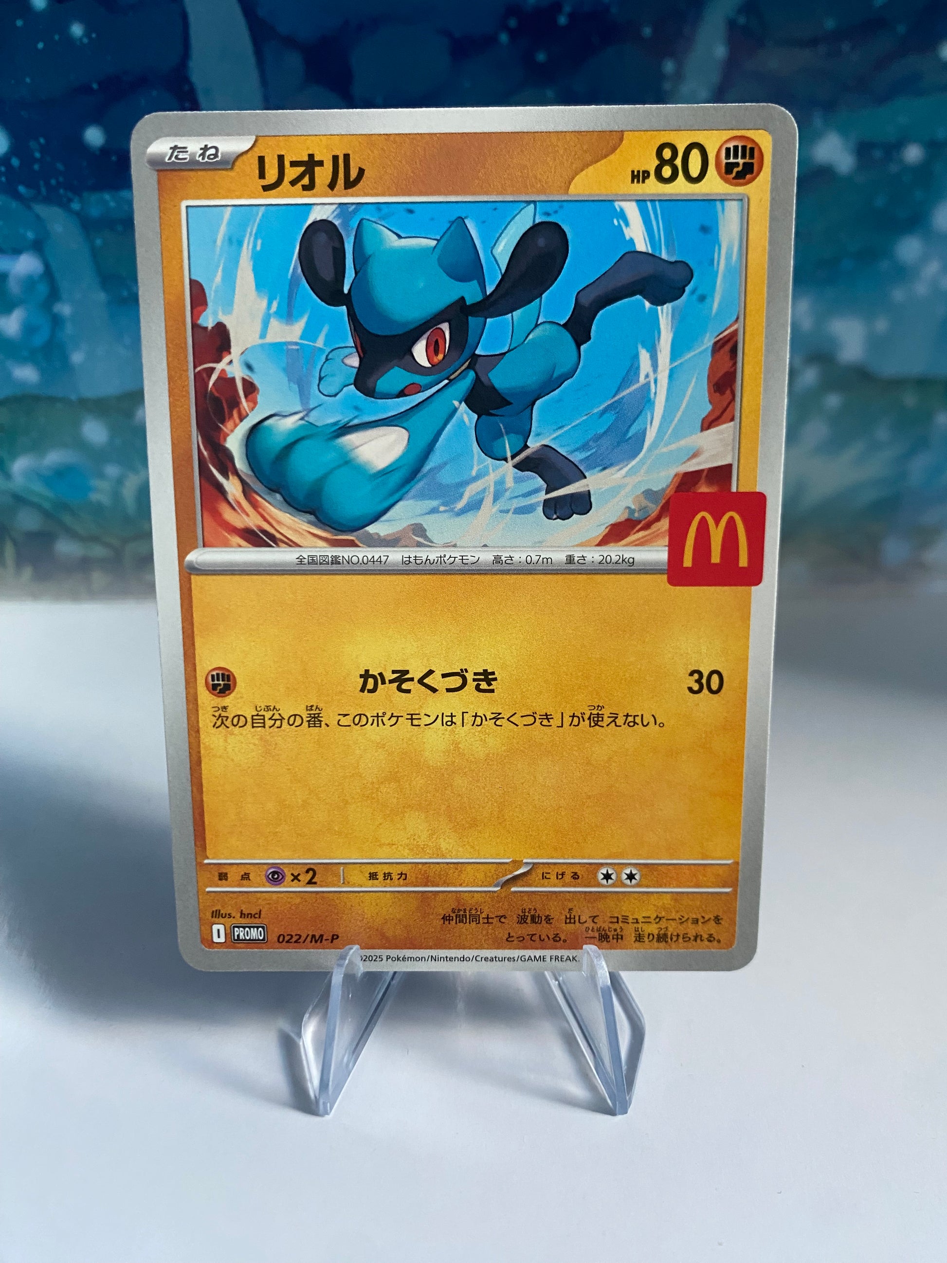 Burgerchu Riolu 022/M-P 