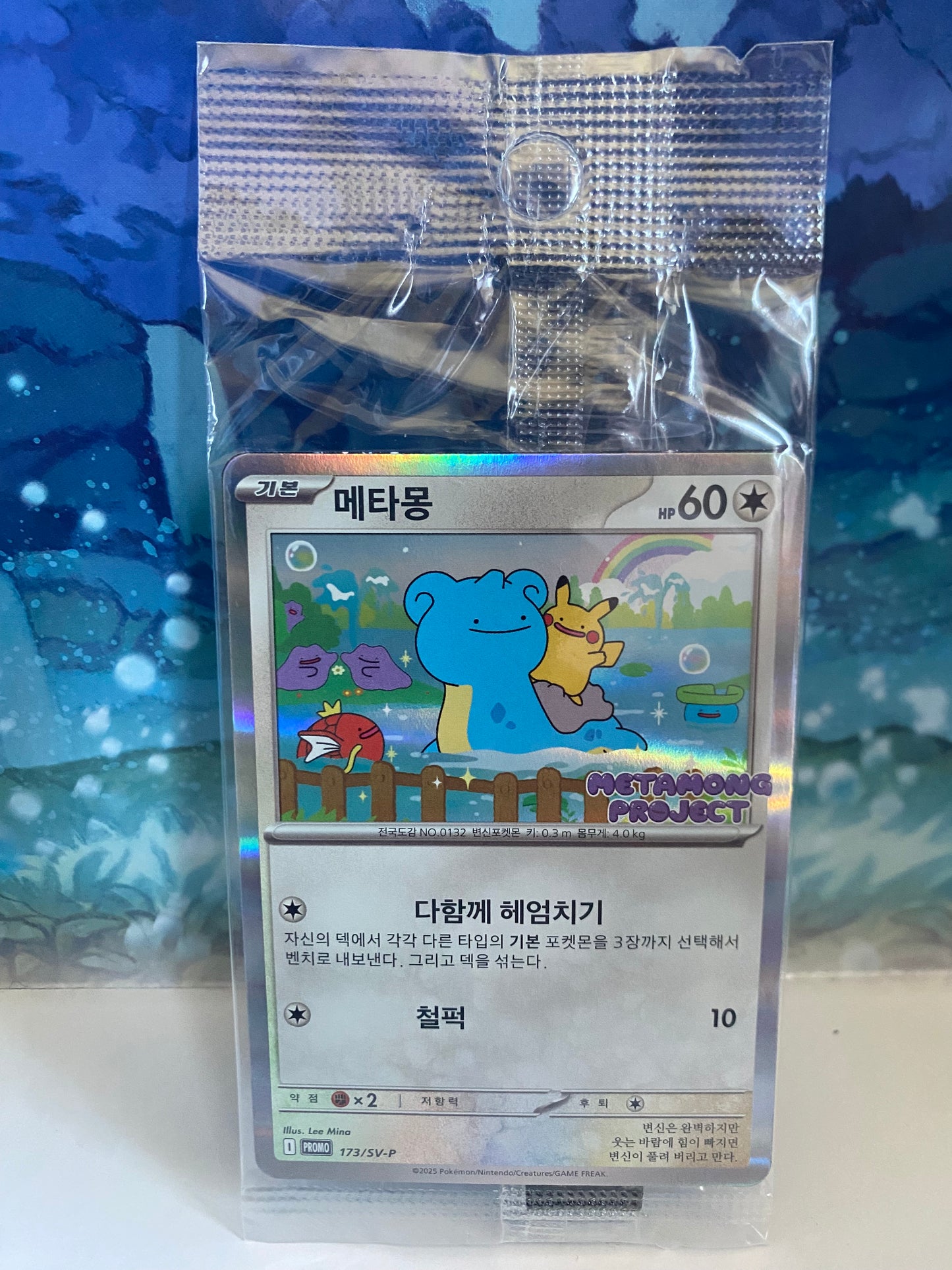 Ditto 173/SV-P Korea sealed close up voorkant