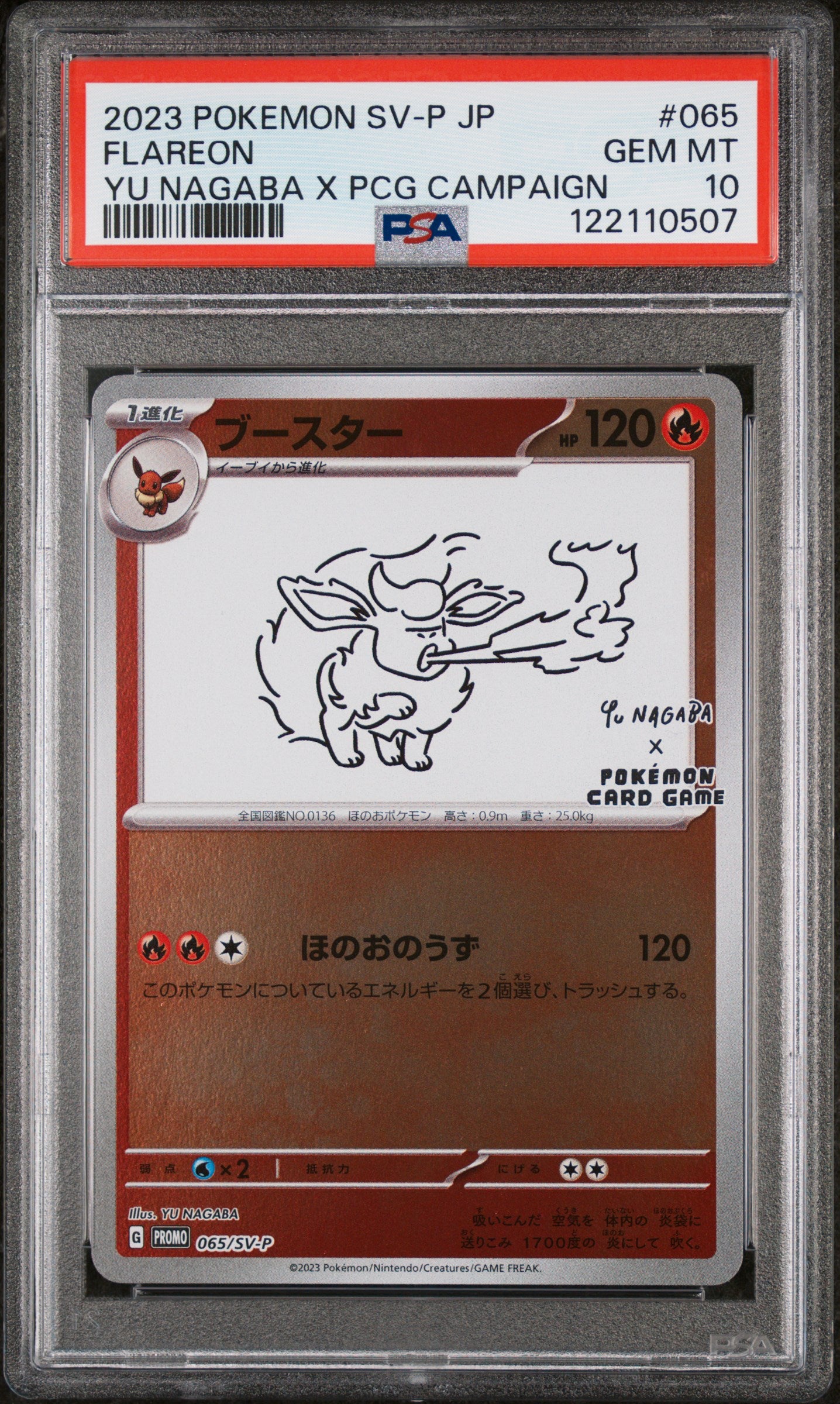 Flareon_Yu_Nagaba_voorkant_PSA